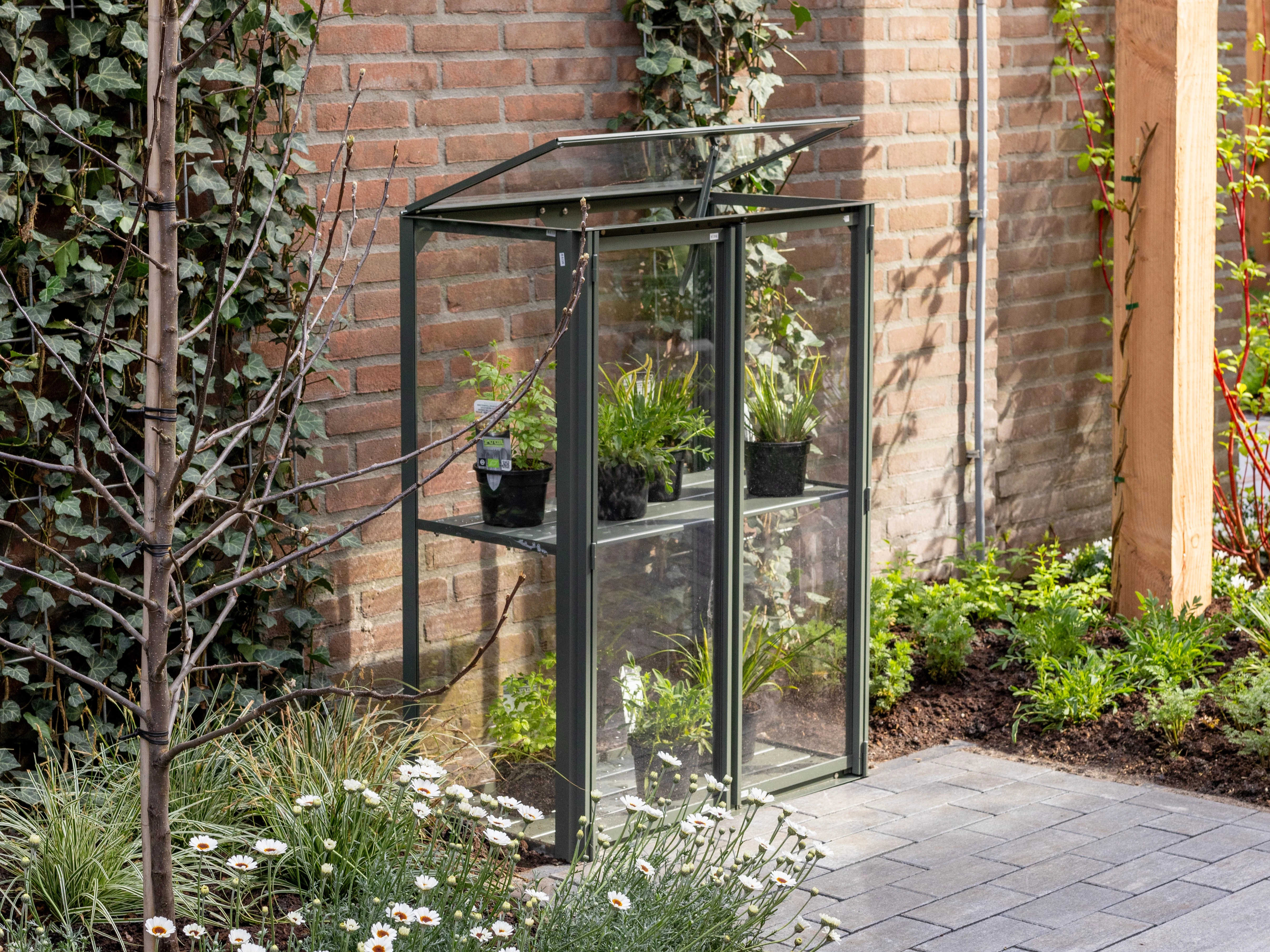 Royal Well Kweekkast Urban Grower Medium 42 x 77 cm - Afbeelding 1